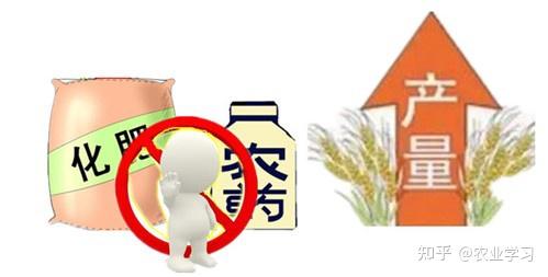 富硒地瓜什么味道（味道地瓜富硒怎么做）-硒宝网