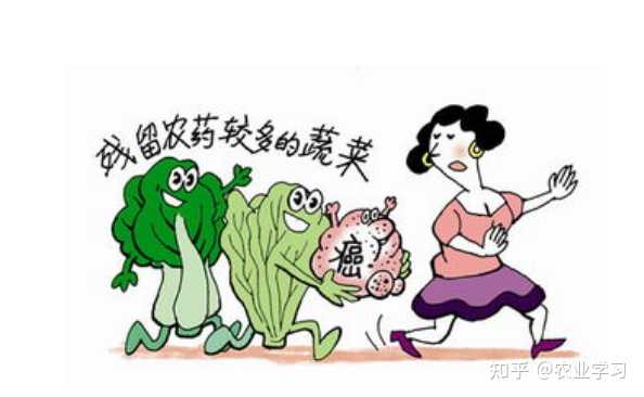 富硒地瓜什么味道（味道地瓜富硒怎么做）-硒宝网