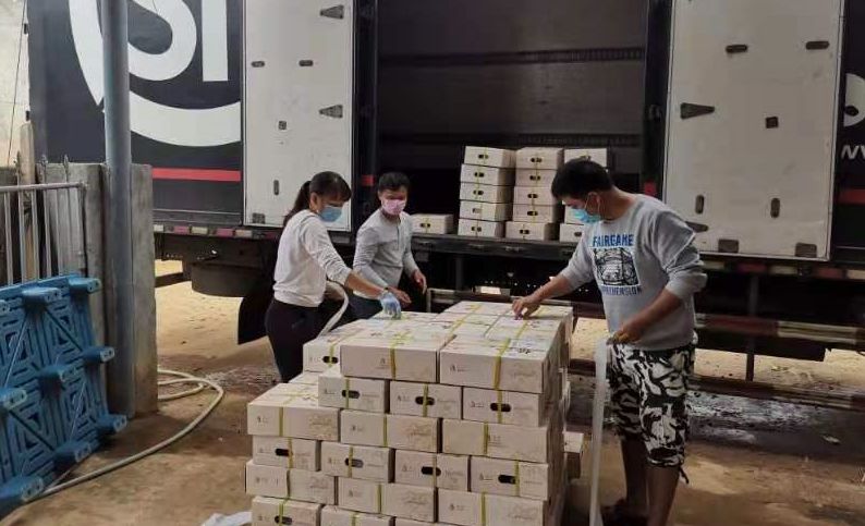 富硒地瓜的卡路里（地瓜卡路里富硒含量多少）-硒宝网