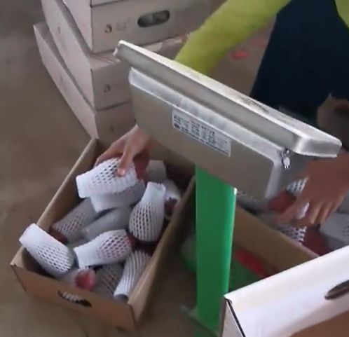 富硒地瓜的卡路里（地瓜卡路里富硒含量多少）-硒宝网