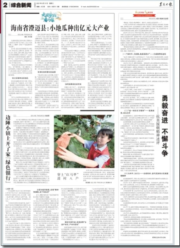 海南富硒地瓜季节（海南季节地瓜富硒好吃吗）-硒宝网