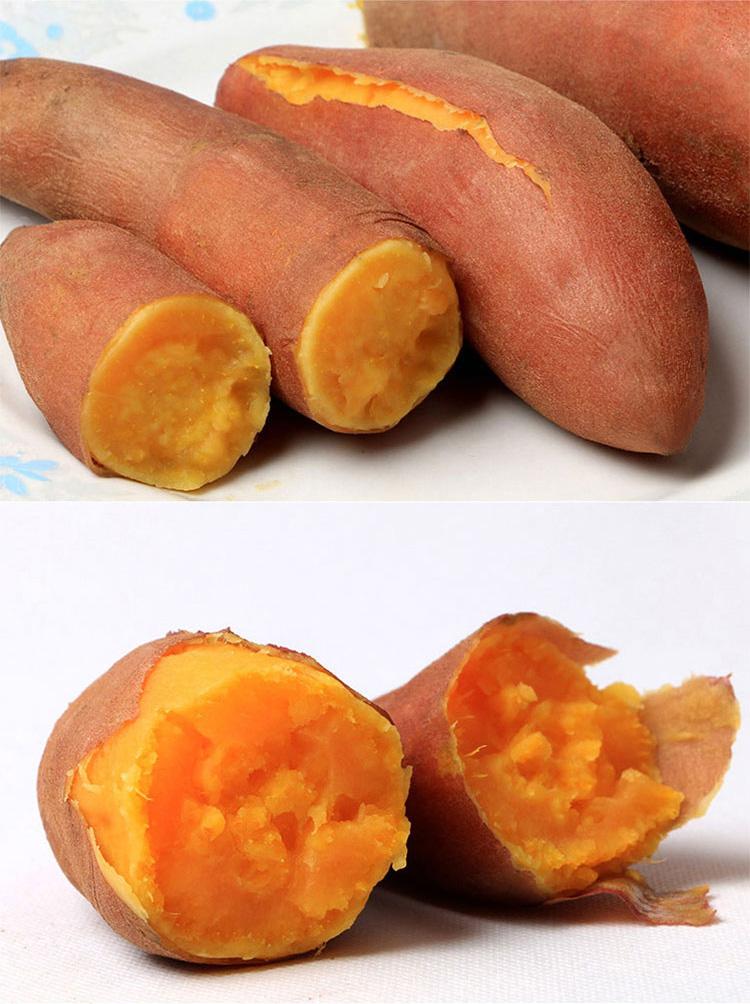 河北富硒地瓜产地(富硒地瓜是什么品种)-硒宝网