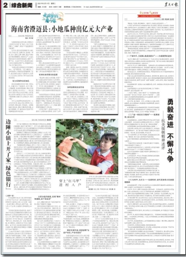 海南富硒地瓜亩产(海南地瓜亩产富硒多少)-硒宝网