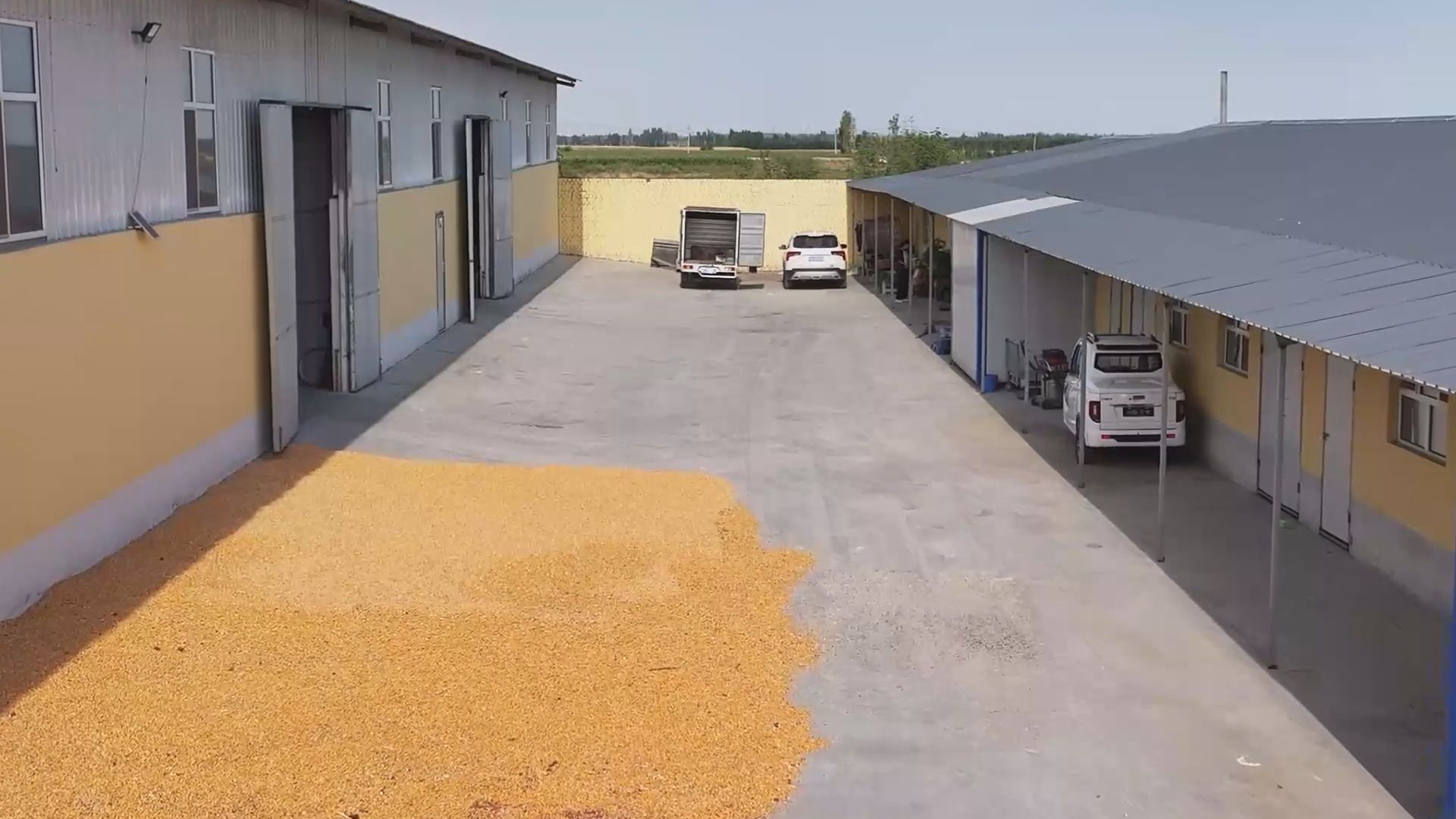 富硒地瓜富硒含量（富硒地瓜含硒高吗）-硒宝网