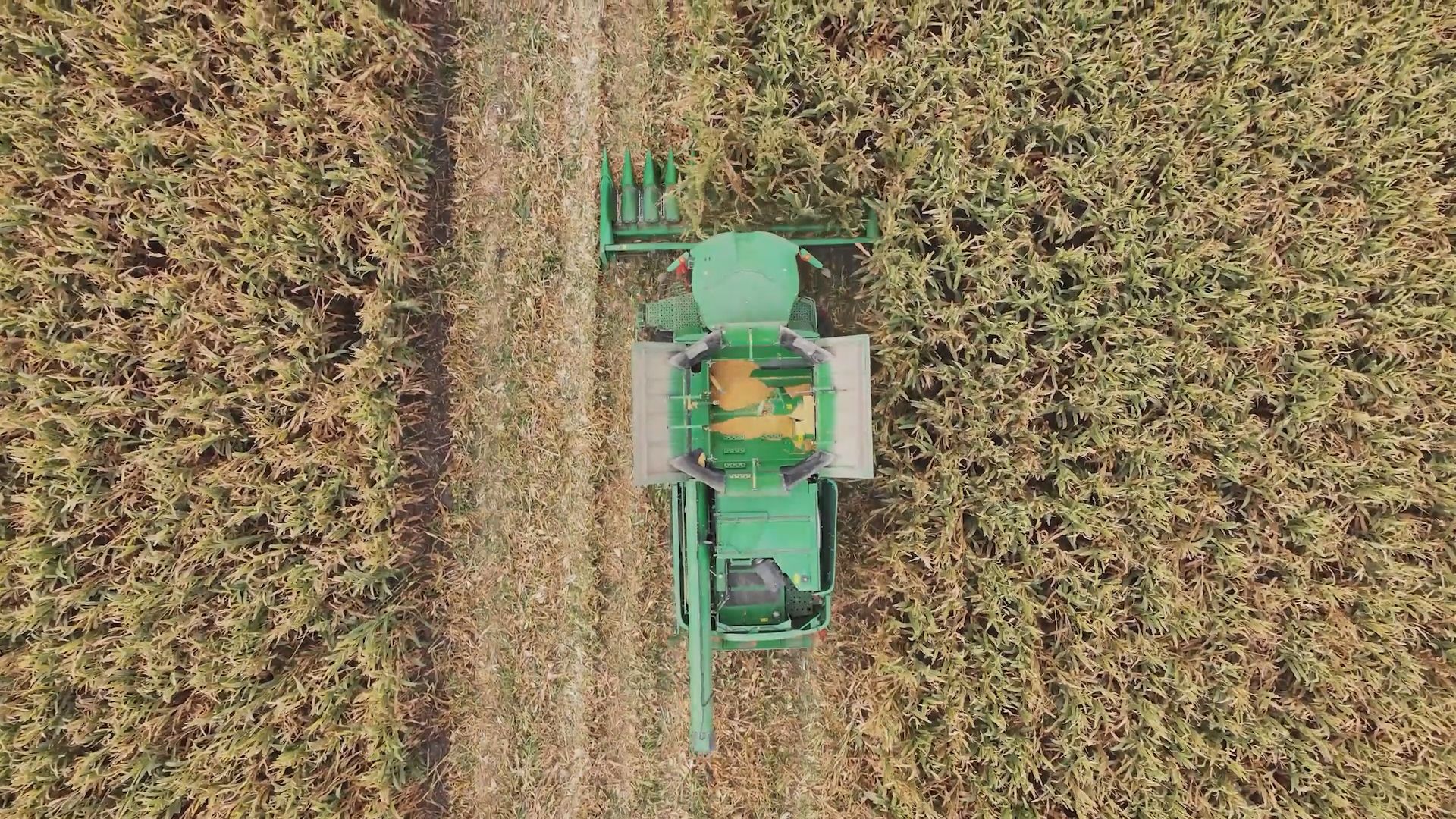 富硒地瓜富硒含量（富硒地瓜含硒高吗）-硒宝网