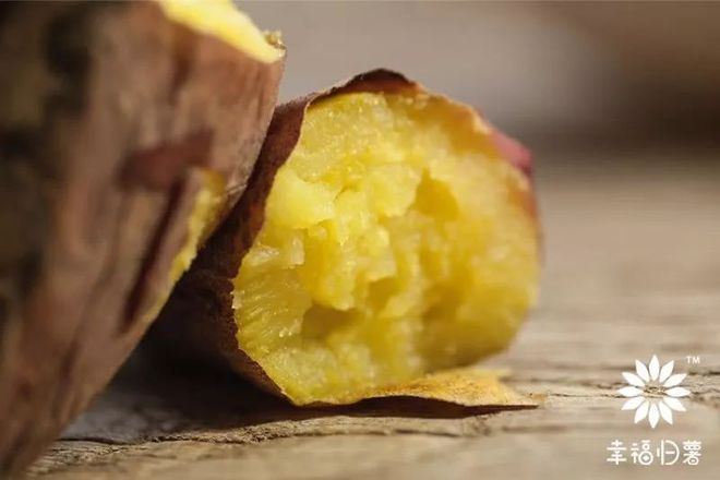 桥头富硒地瓜品种（桥头富硒地瓜怎么区分真假）-硒宝网