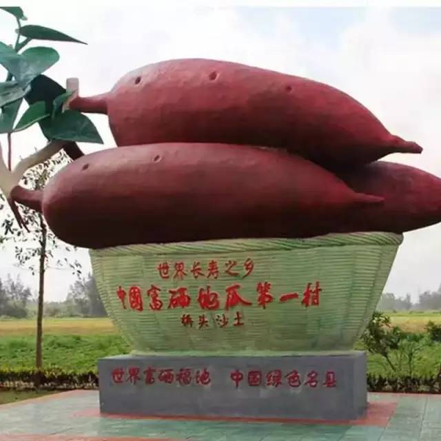 桥头富硒地瓜品种（桥头富硒地瓜怎么区分真假）-硒宝网