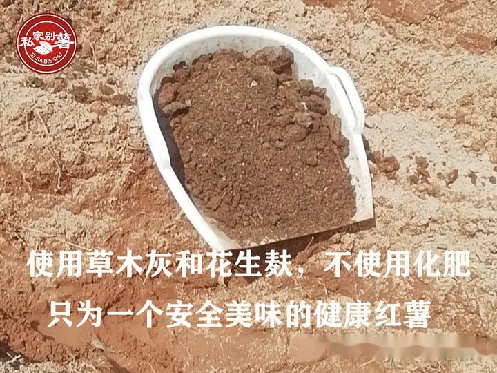 桥头富硒地瓜品种（桥头地瓜品种富硒有哪些）-硒宝网