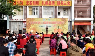 澄迈富硒地瓜季节(海南澄迈桥头富硒地瓜营养价值)-硒宝网