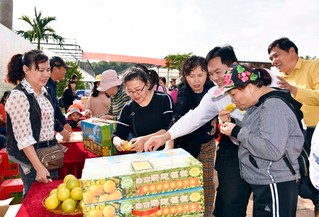 澄迈富硒地瓜季节(海南澄迈桥头富硒地瓜营养价值)-硒宝网