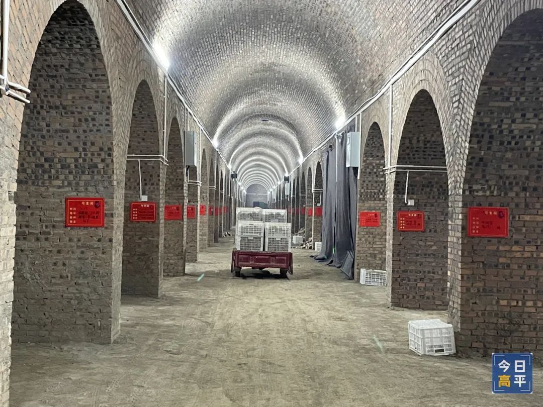 怎样挑选富硒地瓜(富硒地瓜好吃吗)-硒宝网