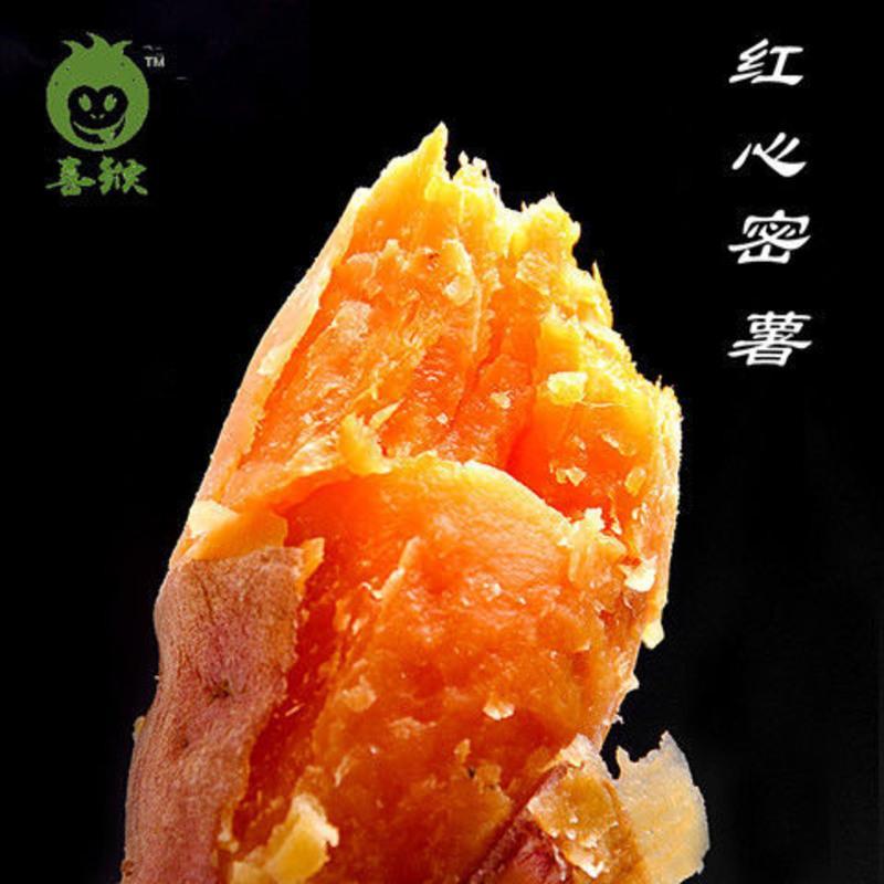 富硒地瓜东方甄?。ǘ降毓细晃缪≡趺囱?硒宝网