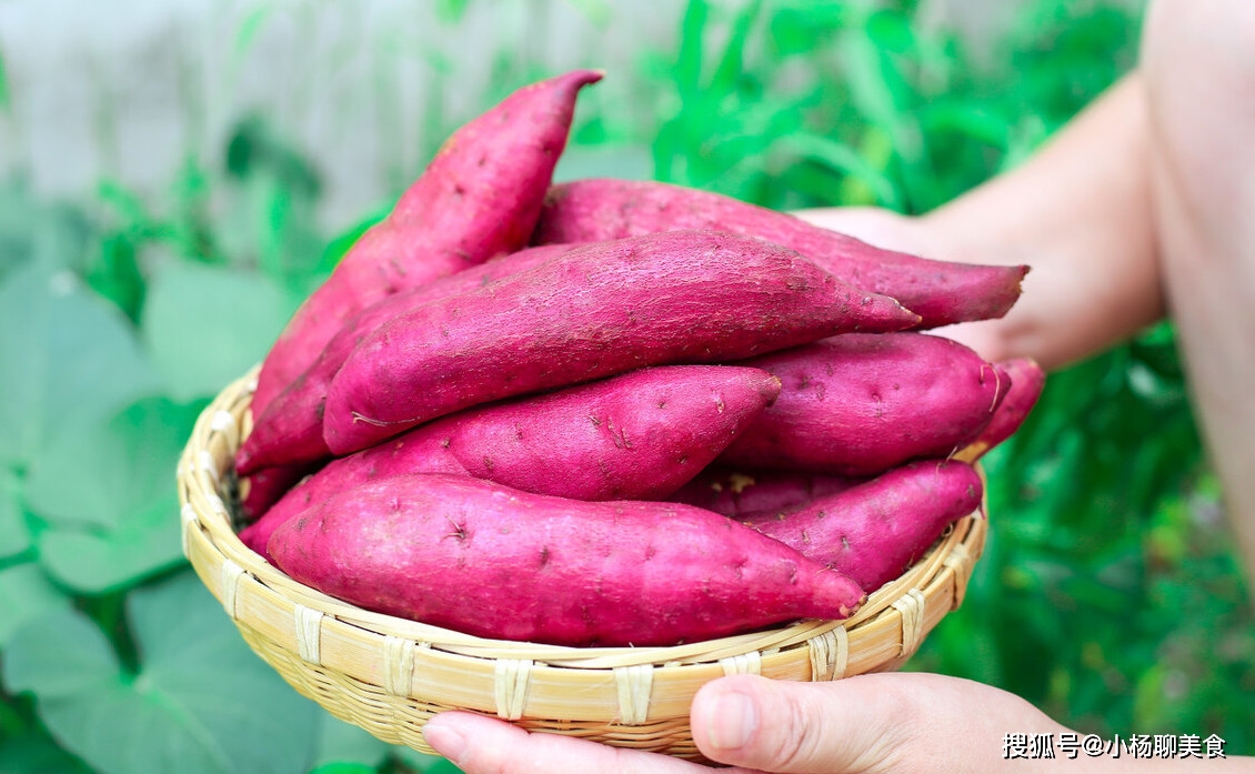 富硒地瓜怎么挑选（富硒地瓜好吃吗）-硒宝网