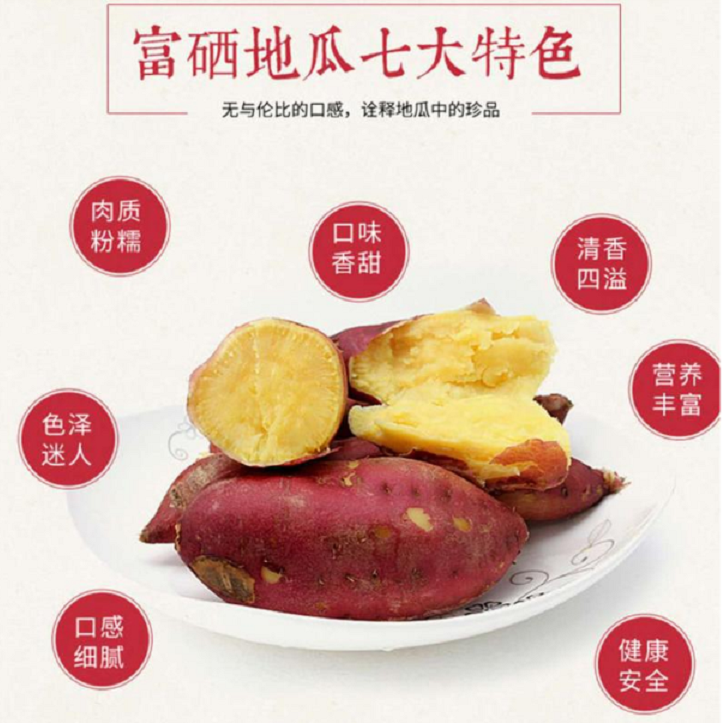 桥头富硒拇指地瓜(拇指地瓜怎么吃)-硒宝网