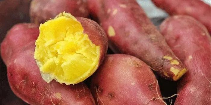 桥头富硒拇指地瓜(拇指地瓜怎么吃)-硒宝网