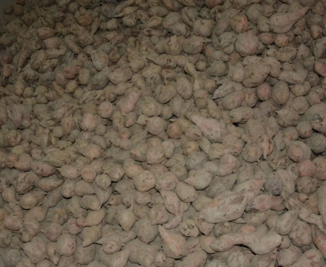 怎样挑选富硒地瓜(富硒地瓜哪个产地的好)-硒宝网