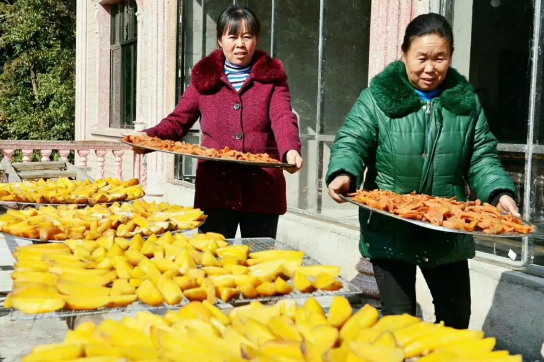 怎样挑选富硒地瓜(富硒地瓜哪个产地的好)-硒宝网