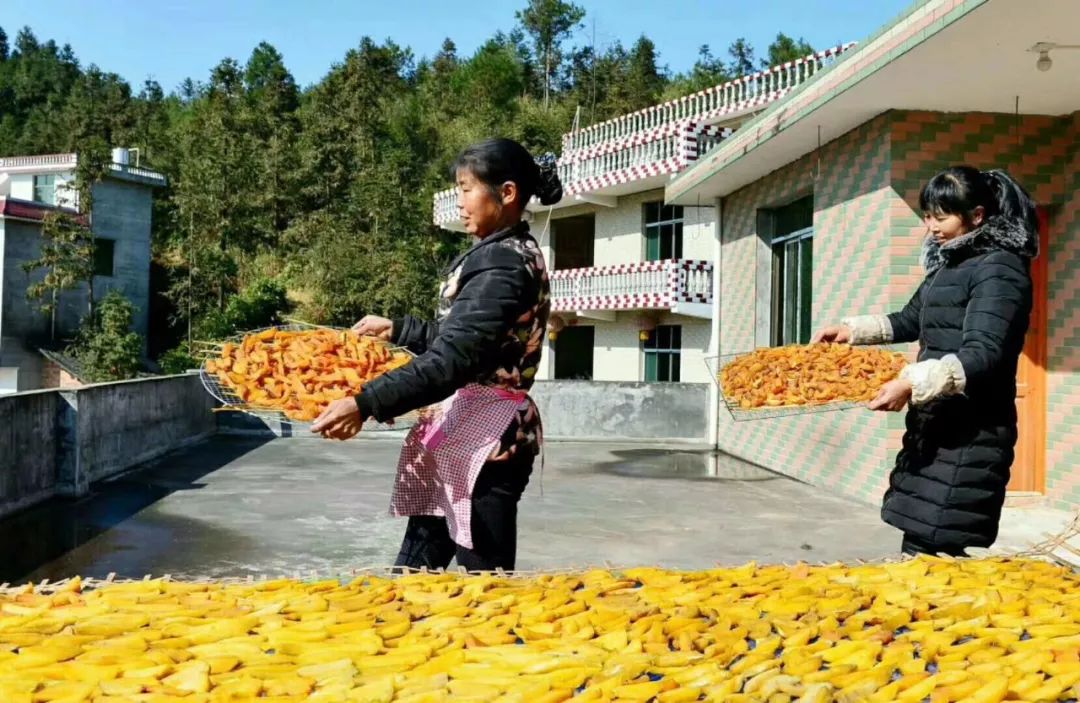 怎样挑选富硒地瓜(富硒地瓜哪个产地的好)-硒宝网
