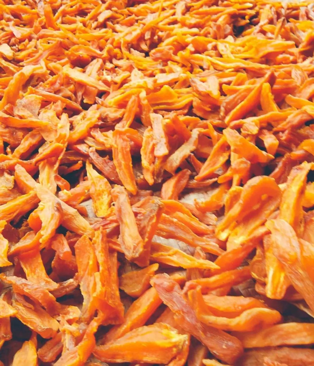 怎样挑选富硒地瓜(富硒地瓜哪个产地的好)-硒宝网