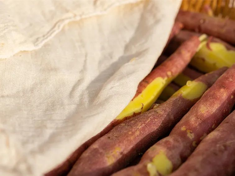 富硒桥头地瓜功效(桥头地瓜的功效)-硒宝网