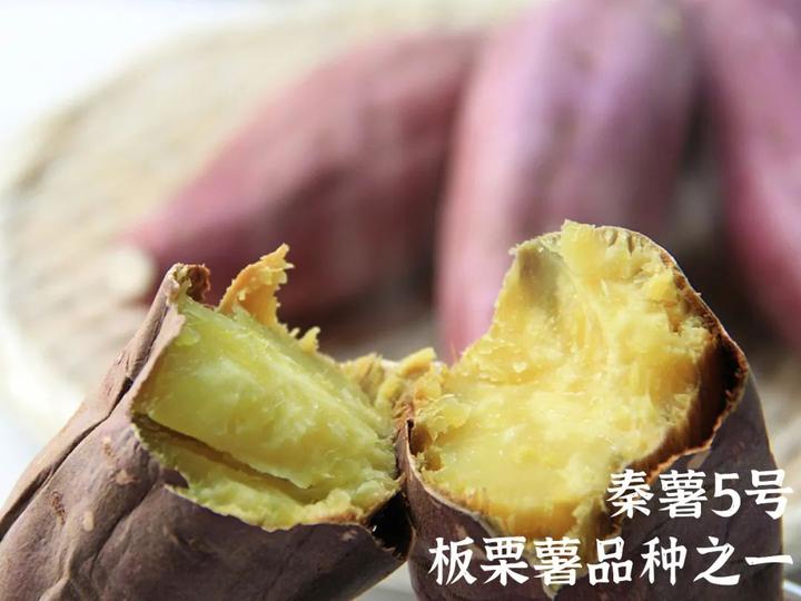 富硒桥头地瓜功效(桥头地瓜的功效)-硒宝网