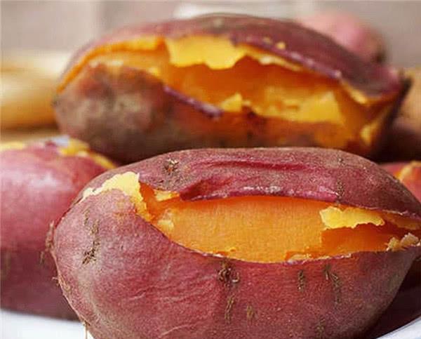 山东日照富硒地瓜(山东富硒地瓜哪里产)-硒宝网