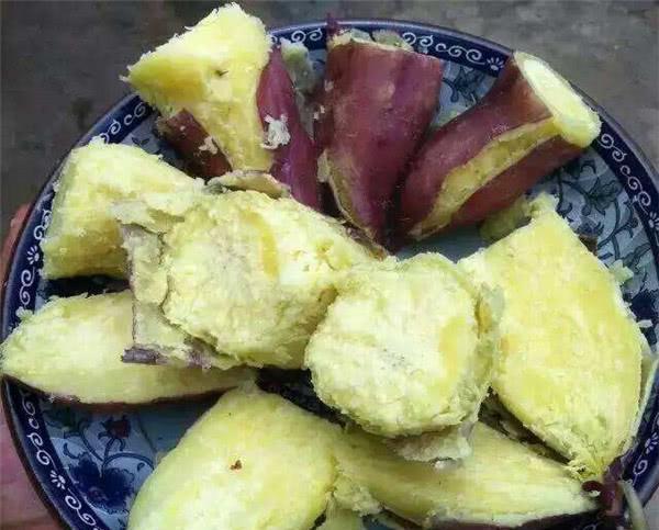 山东日照富硒地瓜(山东富硒地瓜哪里产)-硒宝网