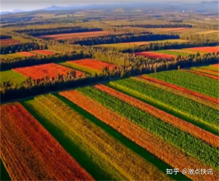 赤峰富硒酵素地瓜（富硒水果酵素）-硒宝网