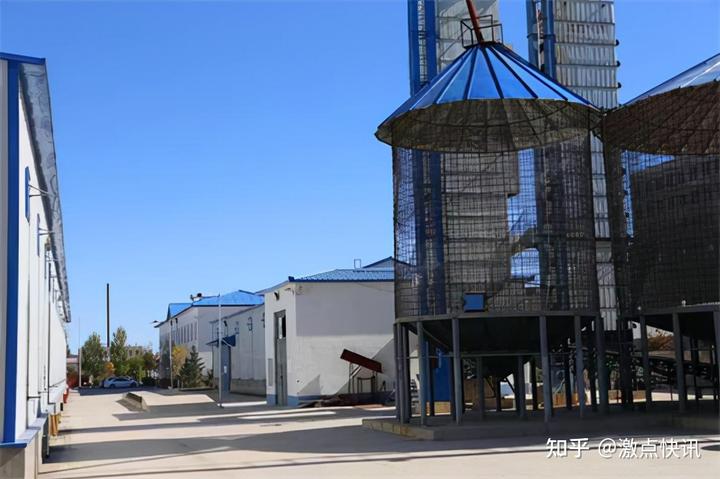 赤峰富硒酵素地瓜（富硒水果酵素）-硒宝网