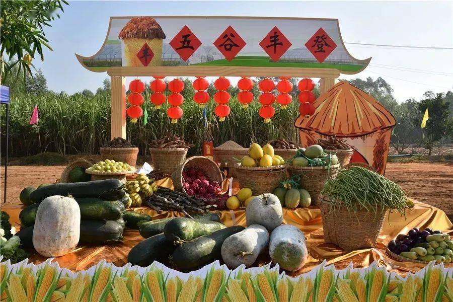 富硒桥头地瓜功效(桥头地瓜有毒吗)-硒宝网