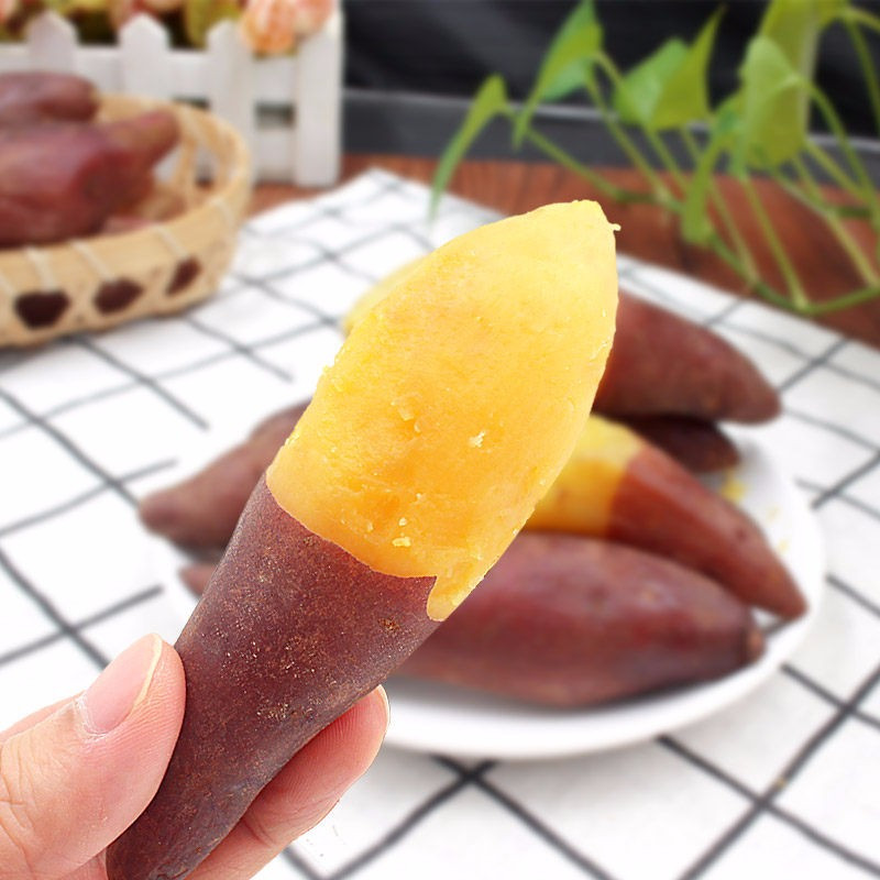 海南富硒地瓜季节(海南富硒地瓜是毒地瓜吗)-硒宝网