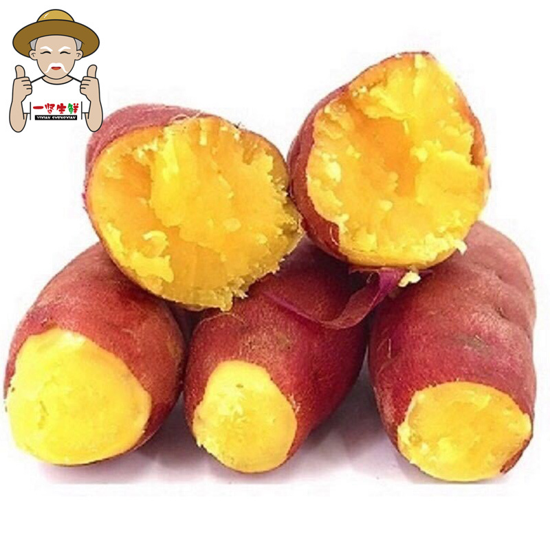 海南富硒地瓜季节(海南富硒地瓜是毒地瓜吗)-硒宝网