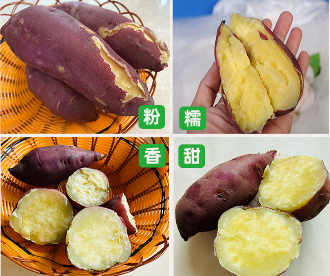 富硒地瓜出厂哪里(富硒地瓜真的含硒吗)-硒宝网