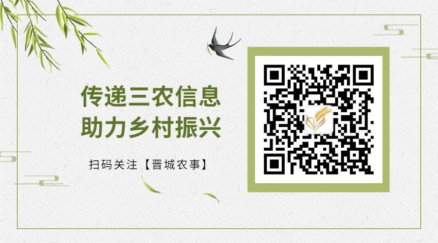 富硒地瓜种植历史（富硒地瓜怎么种植）-硒宝网