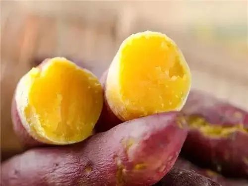 海南富硒地瓜央视（海南的富硒地瓜）-硒宝网