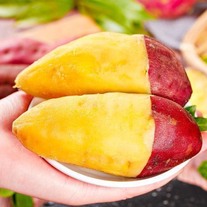 海南富硒地瓜推荐（海南地瓜推荐富硒品种）-硒宝网