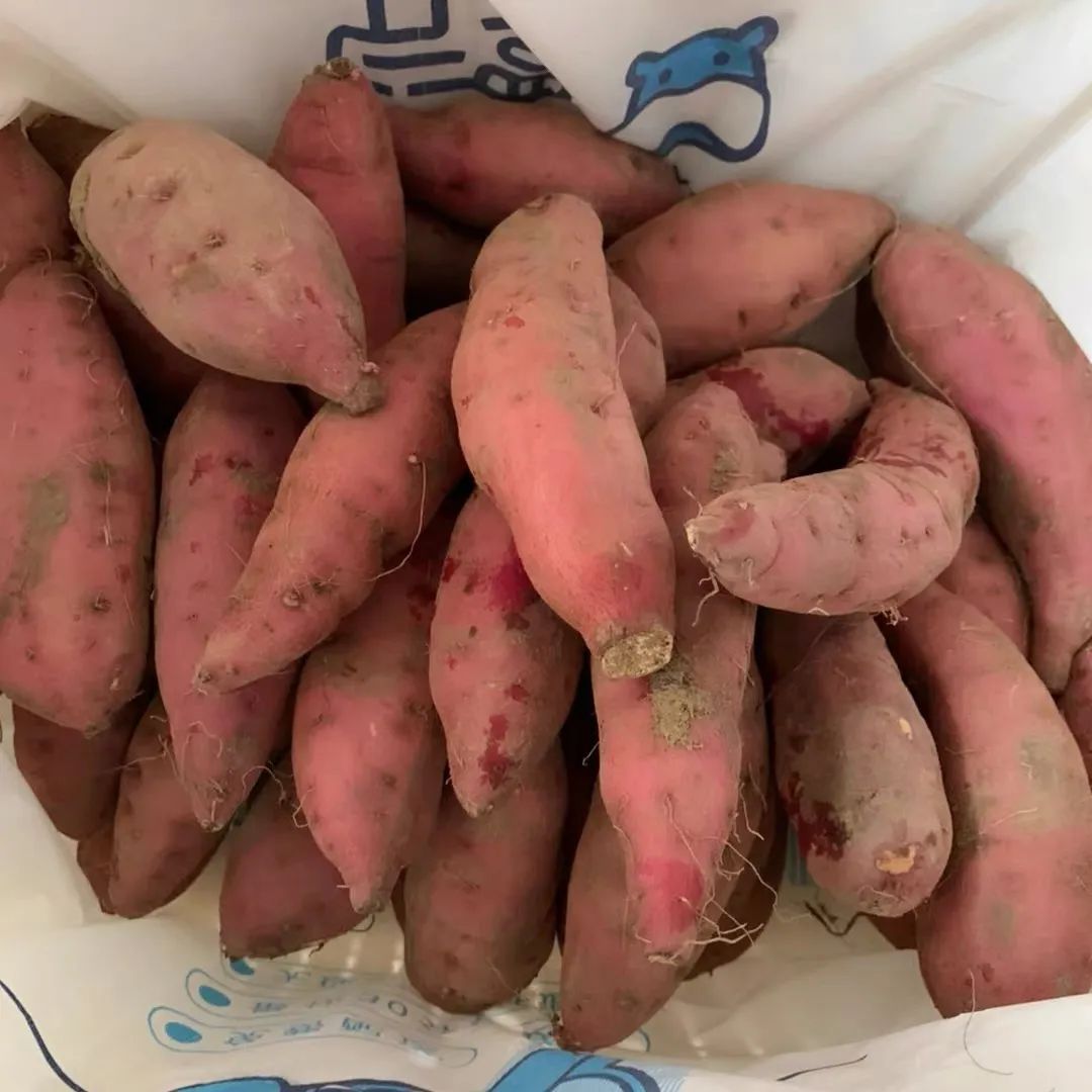 海南正宗富硒地瓜(海南富硒地瓜是毒地瓜吗)-硒宝网