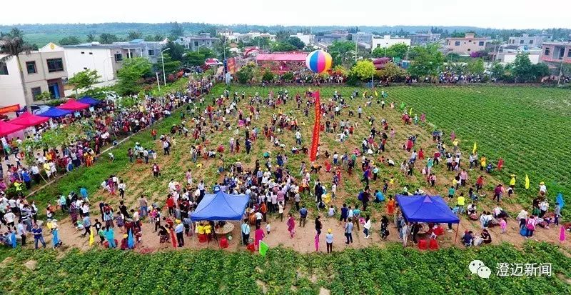 南昌桥头富硒地瓜（南昌桥头地瓜富硒产地）-硒宝网