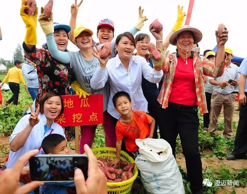 南昌桥头富硒地瓜（南昌桥头地瓜富硒产地）-硒宝网