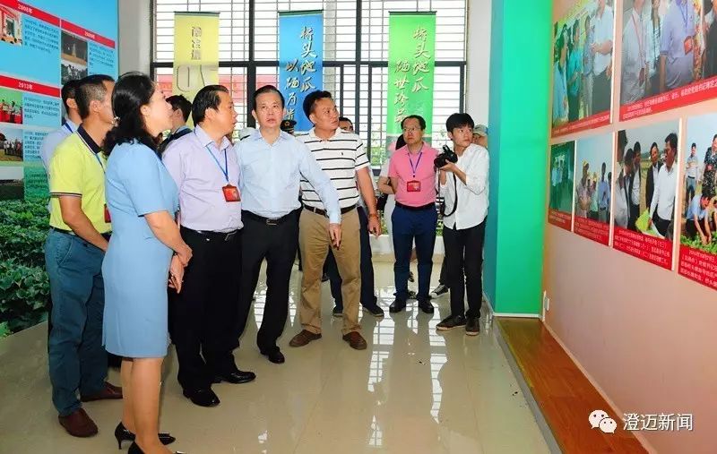 南昌桥头富硒地瓜（南昌桥头地瓜富硒产地）-硒宝网