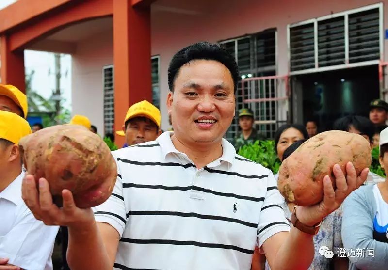 南昌桥头富硒地瓜（南昌桥头地瓜富硒产地）-硒宝网