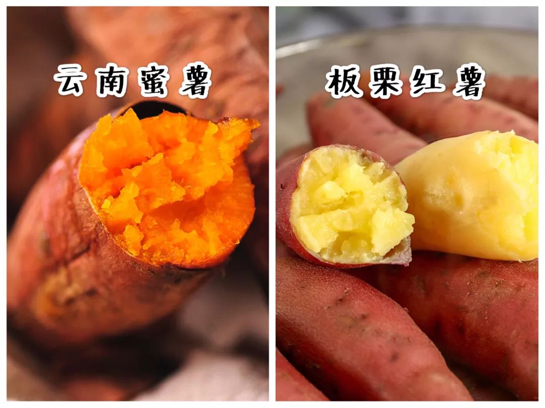 海南正宗富硒地瓜（海南富硒地瓜多少钱一斤）-硒宝网