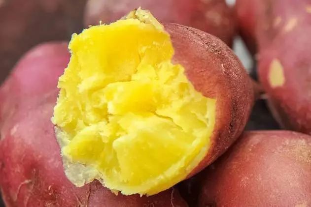 海南正宗富硒地瓜（海南富硒地瓜多少钱一斤）-硒宝网