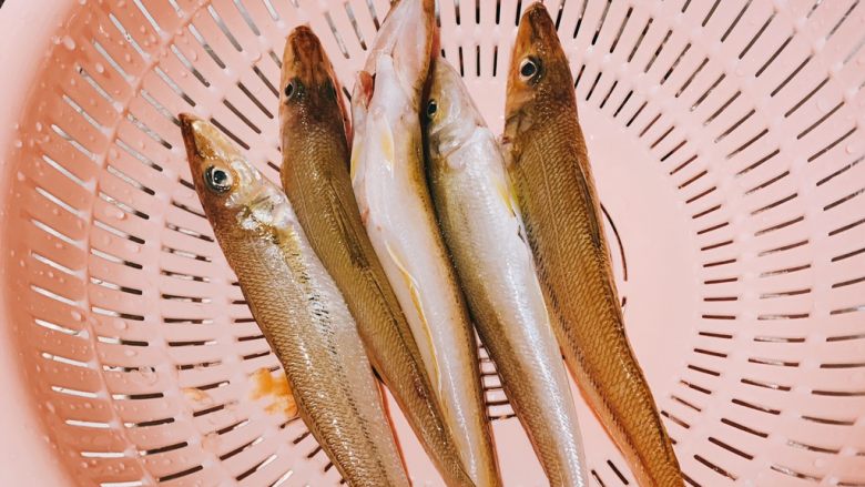 富硒地瓜收获季节(富硒地瓜种植技术视频教程)-硒宝网