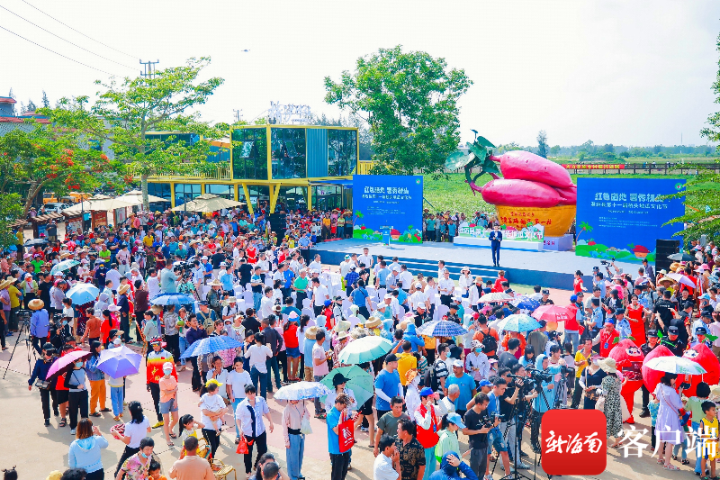 沙地桥头富硒地瓜（桥头地瓜硒含量）-硒宝网