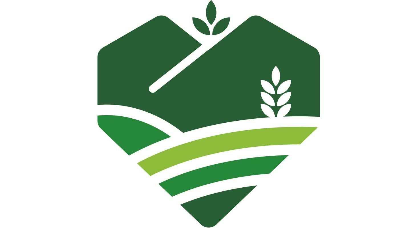 海南富硒地瓜推荐（海南富硒地瓜多少钱一斤）-硒宝网