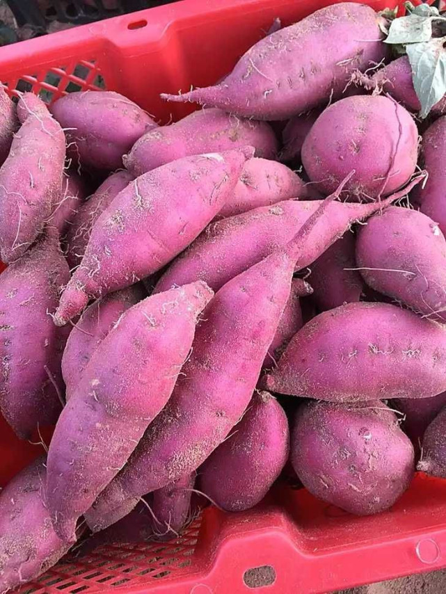 海南富硒地瓜减肥（富硒地瓜减肥吗）-硒宝网