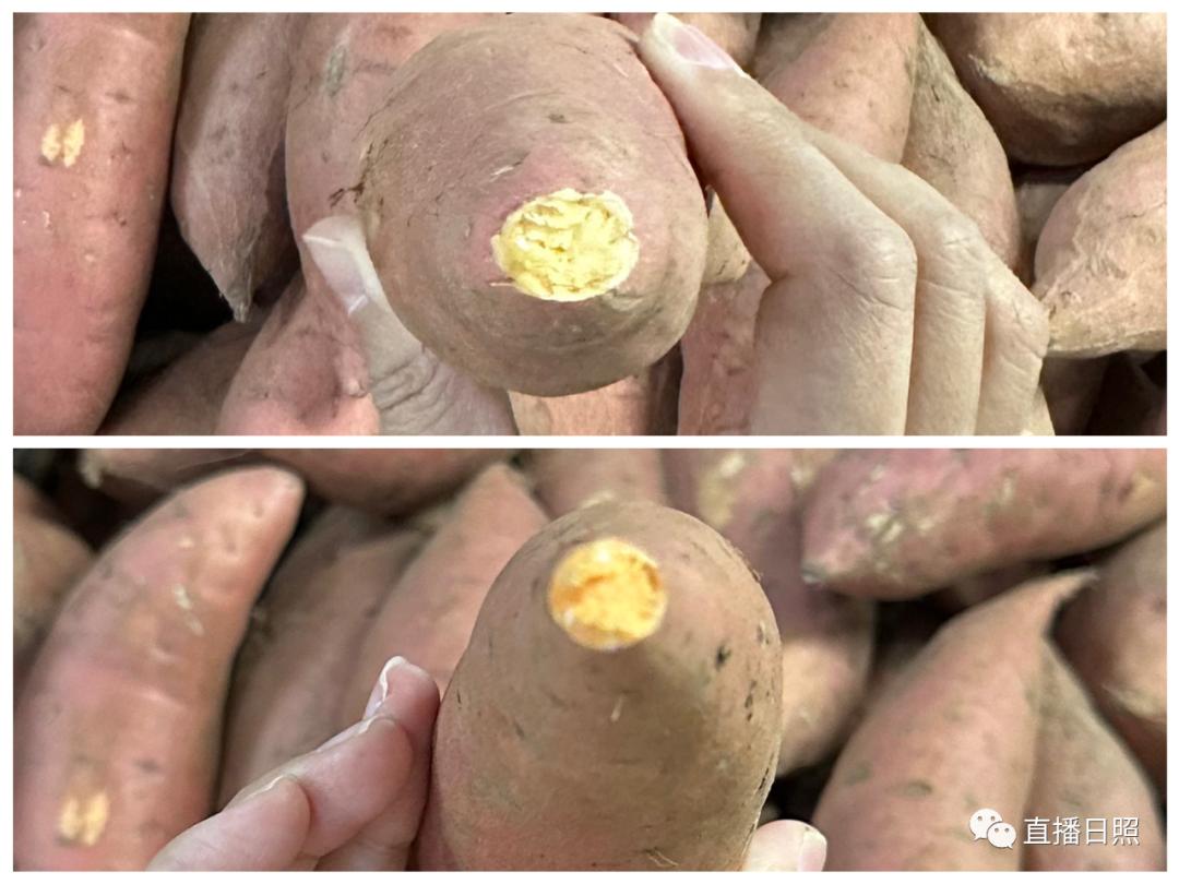 莒县富硒地瓜地址(莒南地瓜价格)-硒宝网