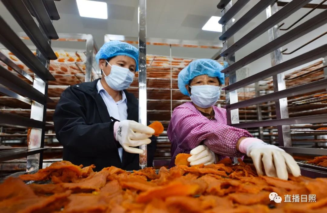 莒县富硒地瓜地址(莒南地瓜价格)-硒宝网