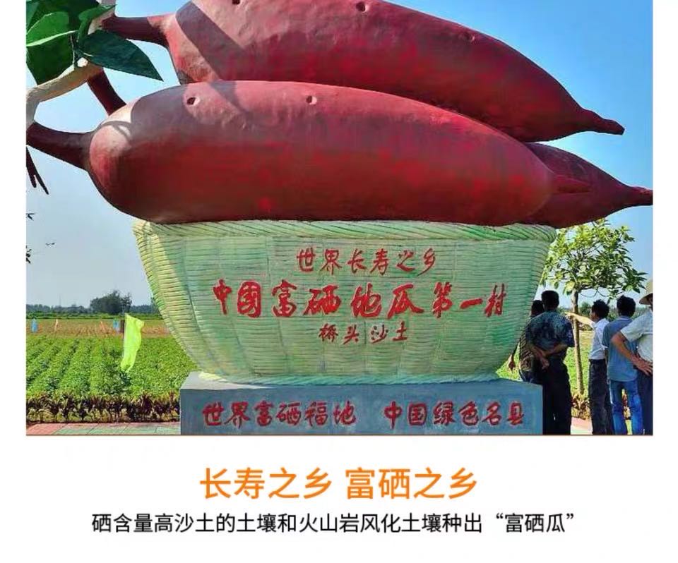 海南富硒地瓜地址(海南富硒地瓜是毒地瓜吗)-硒宝网